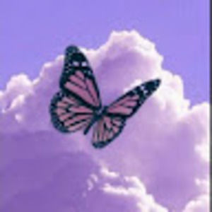 Meet your Posher, Jess